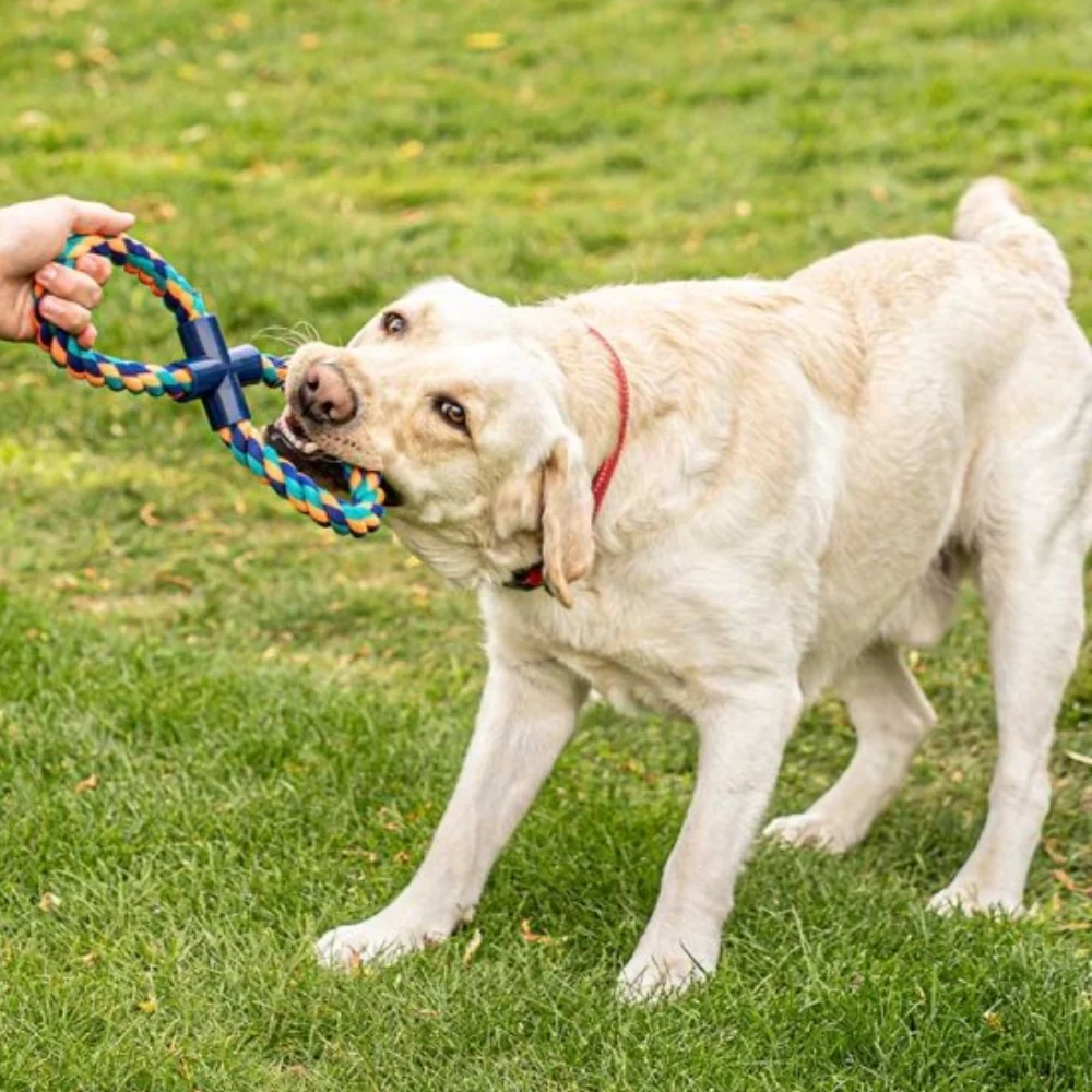 Activ 8 Tugger Dog Toy - Image 2