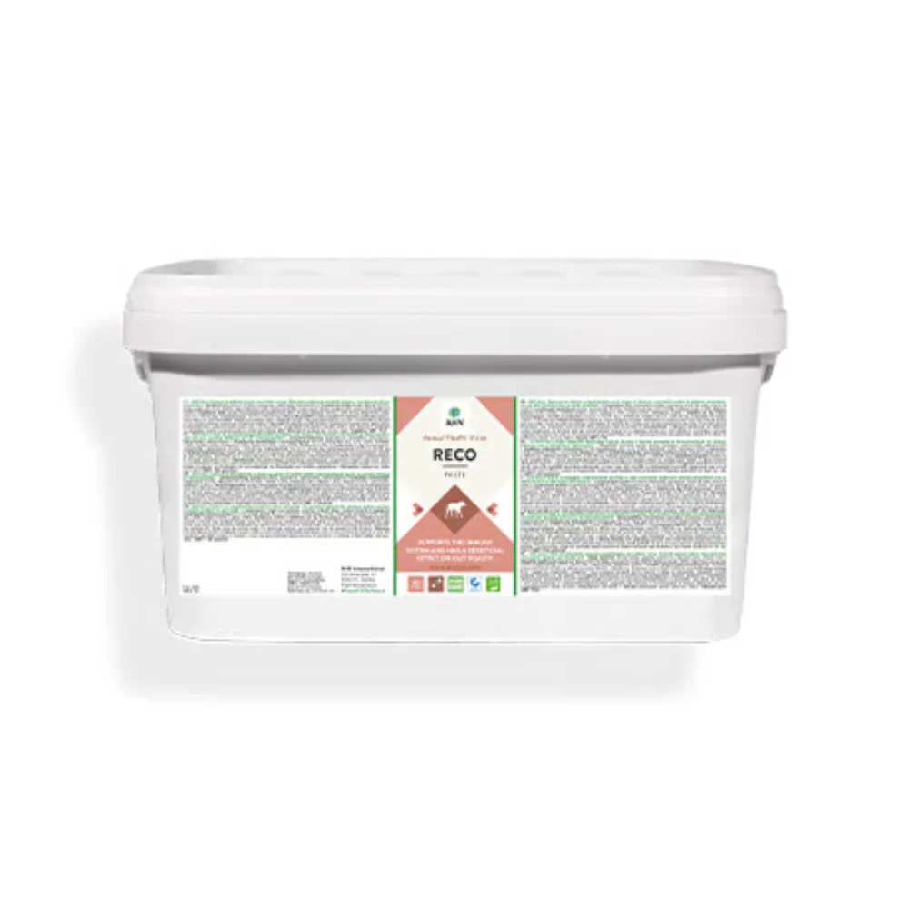 AHV Reco Paste 20 x 32g tubes