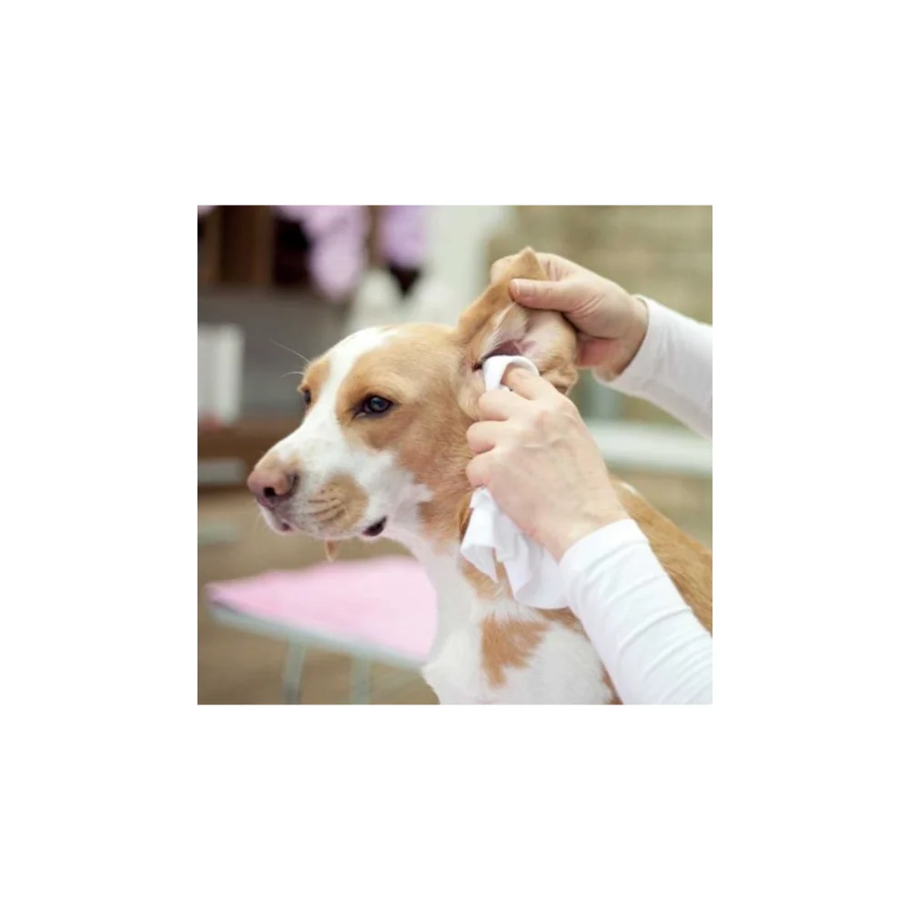 Biodegradable Pet Wipes 40pk