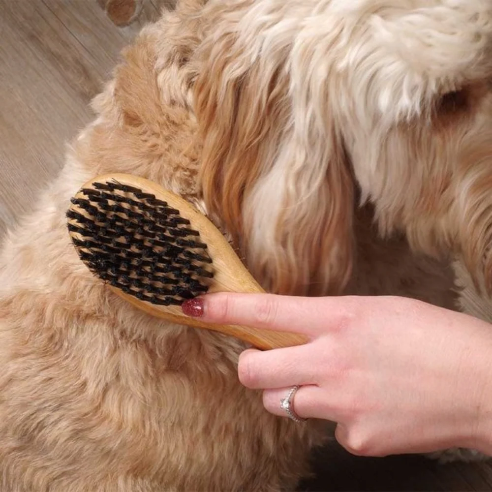 Double Sided Pet Brush - Image 3
