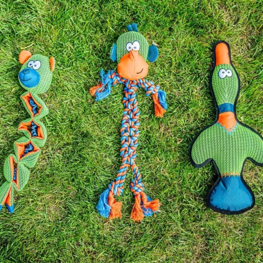 Dura-Duck Dog Toy - Image 2