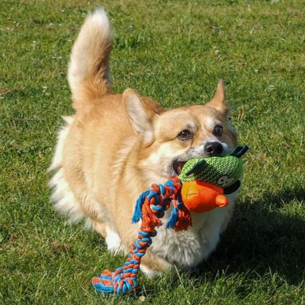 Dura Tugga Monkey Dog Toy - Image 2