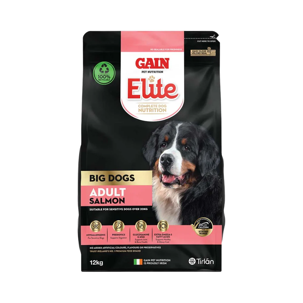 Gain Big Dog Adult Salmon 12kg