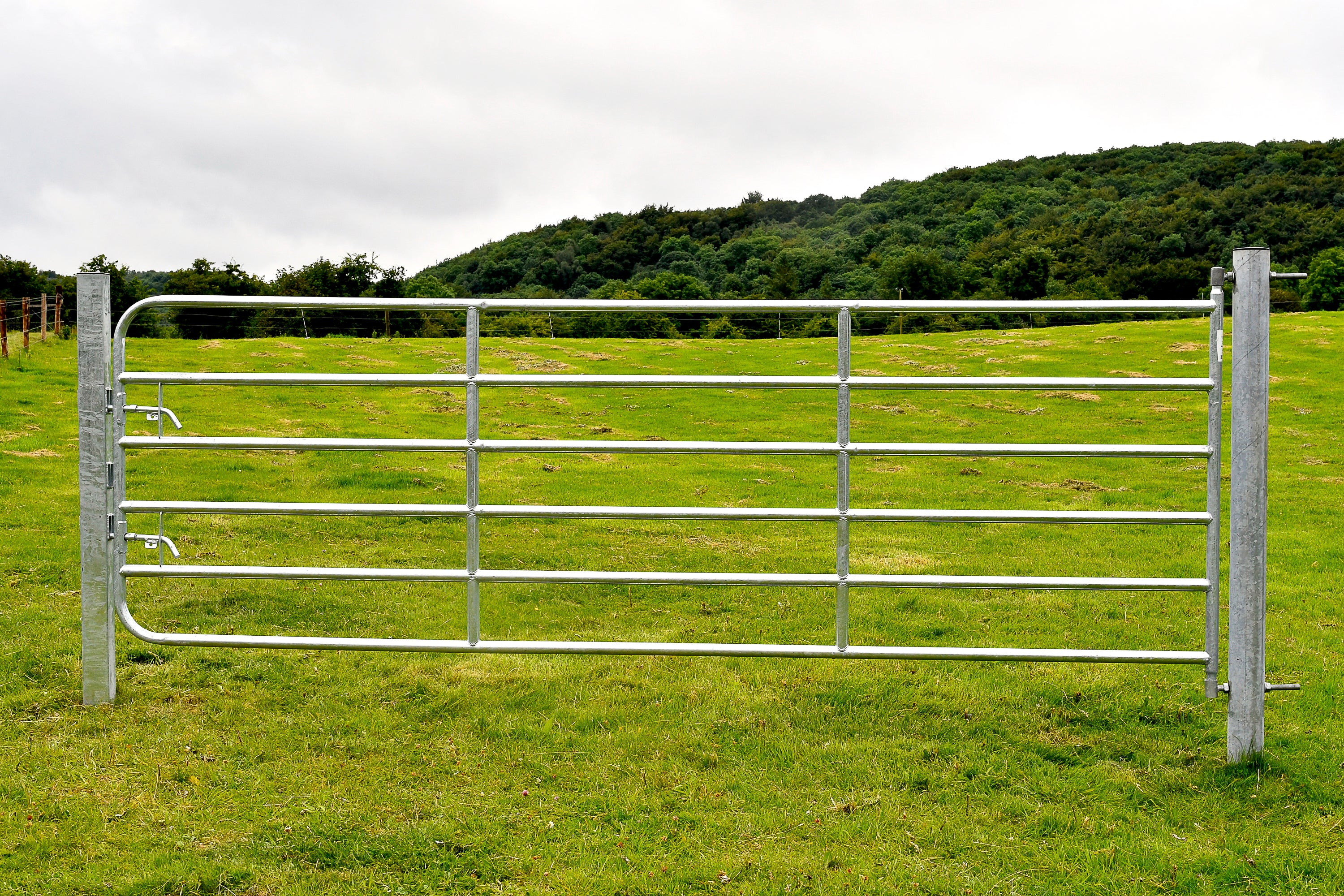 Galvanised Gate 10 Foot D6