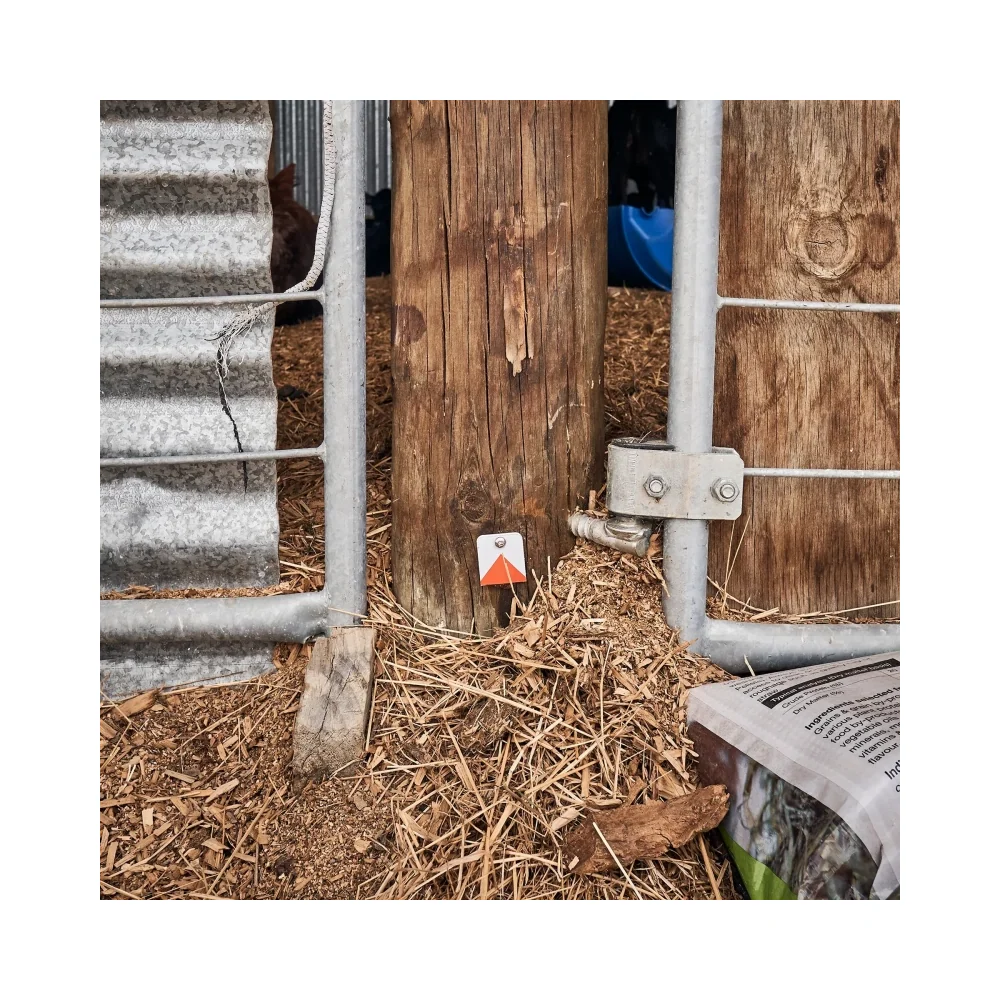 Goodnature Rodent Card 3pk - Image 4