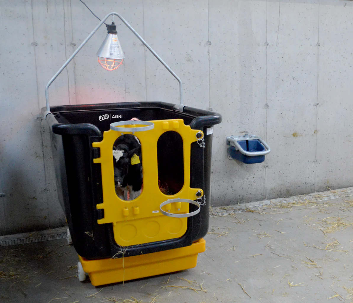JFC Calf Isolation Unit - Image 3