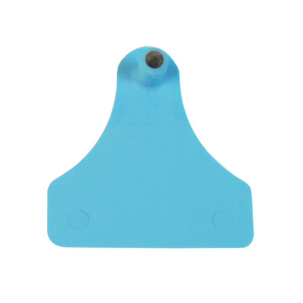 Medium Male Blank Tag