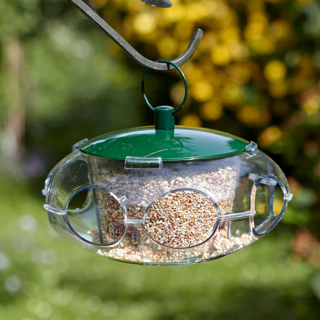 Peckish Small Bird Seed Feeder - Image 3