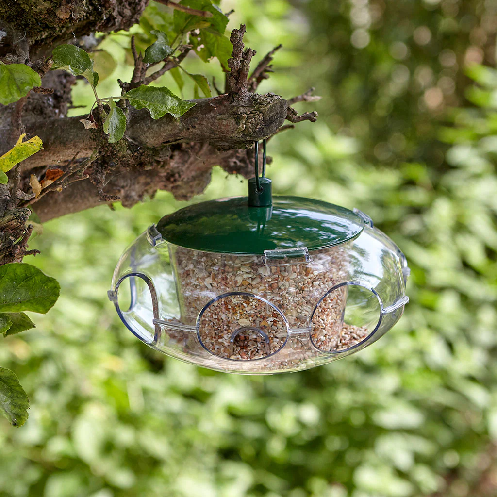 Peckish Small Bird Seed Feeder - Image 4