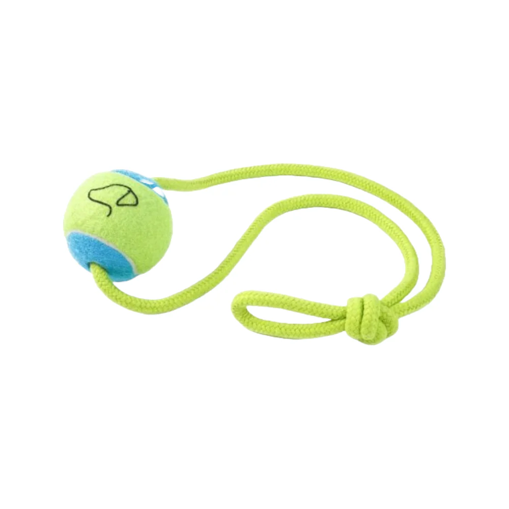 Pooch 6.5cm Tennis Ball on a Rope