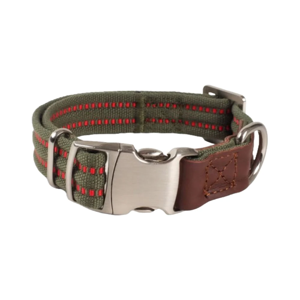 Primo Collar Olive M