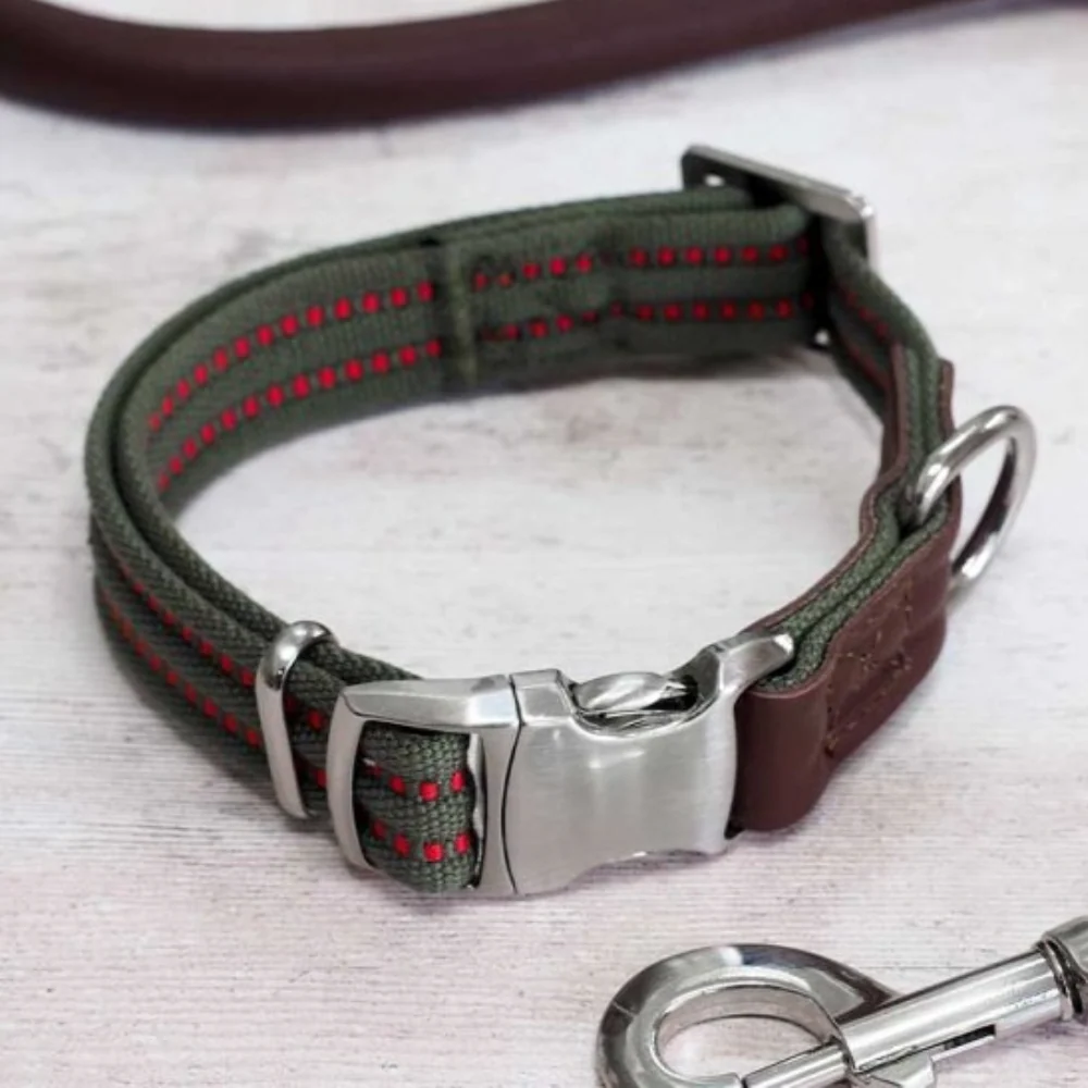 Primo Collar Olive XS - Image 2