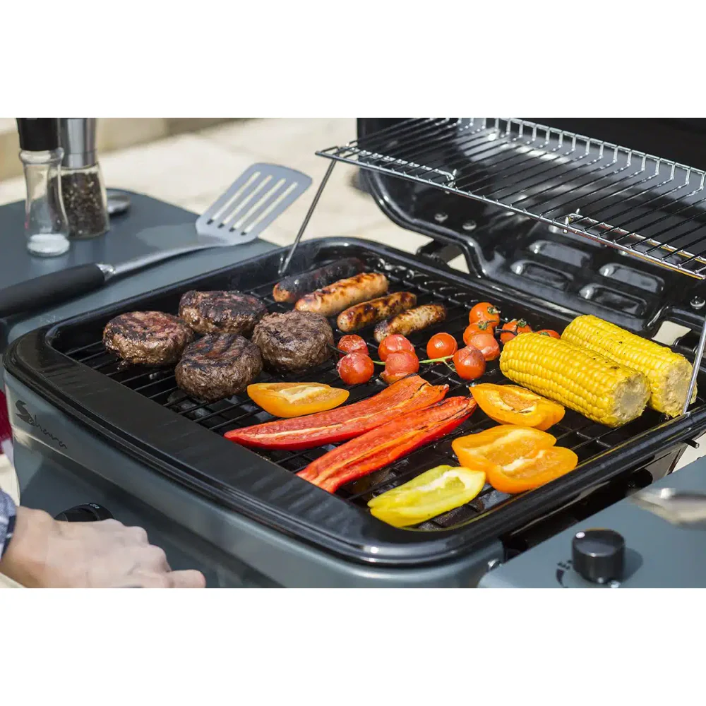 Rapid Assembly 2 Burner Plus Gas BBQ - Image 10