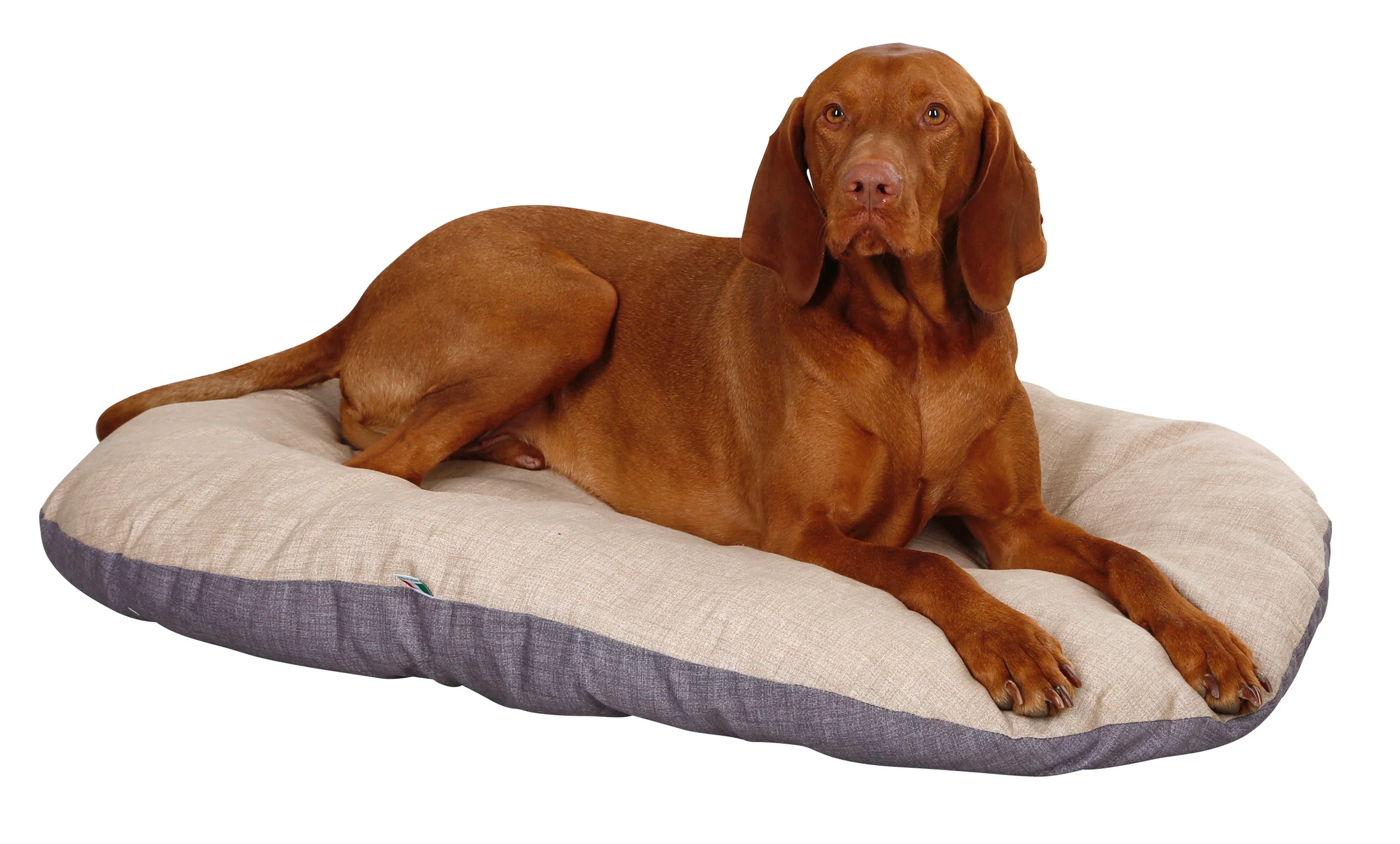 Small Loneta Pet Basket Cushion 58cm x 43cm - Image 2