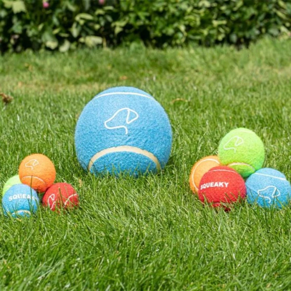 Squeaky Pooch 6.5cm Tennis Balls 3pk - Image 2