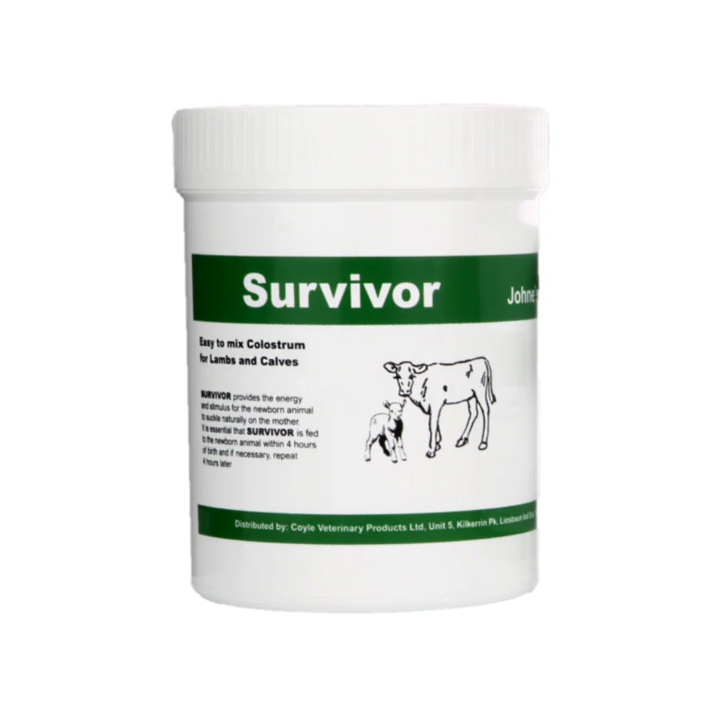 Survivor 400g