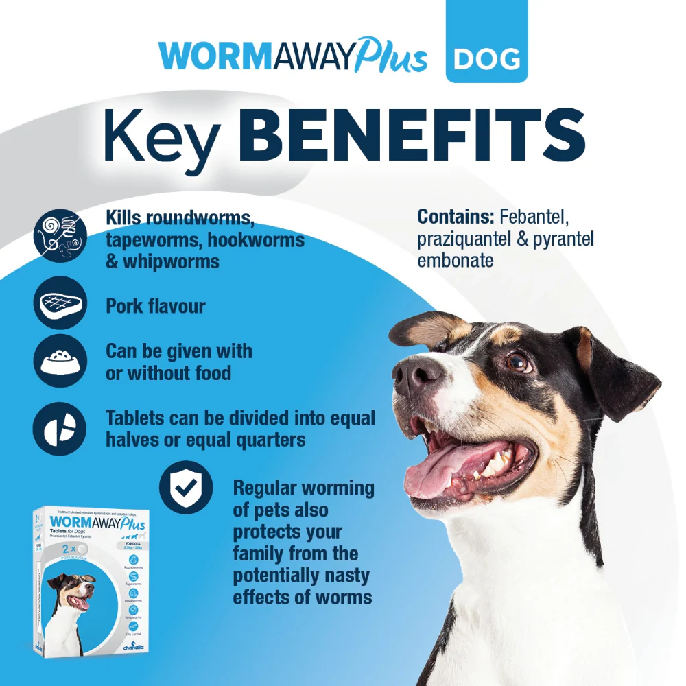 Wormaway Plus Tab 2's IE - Image 3
